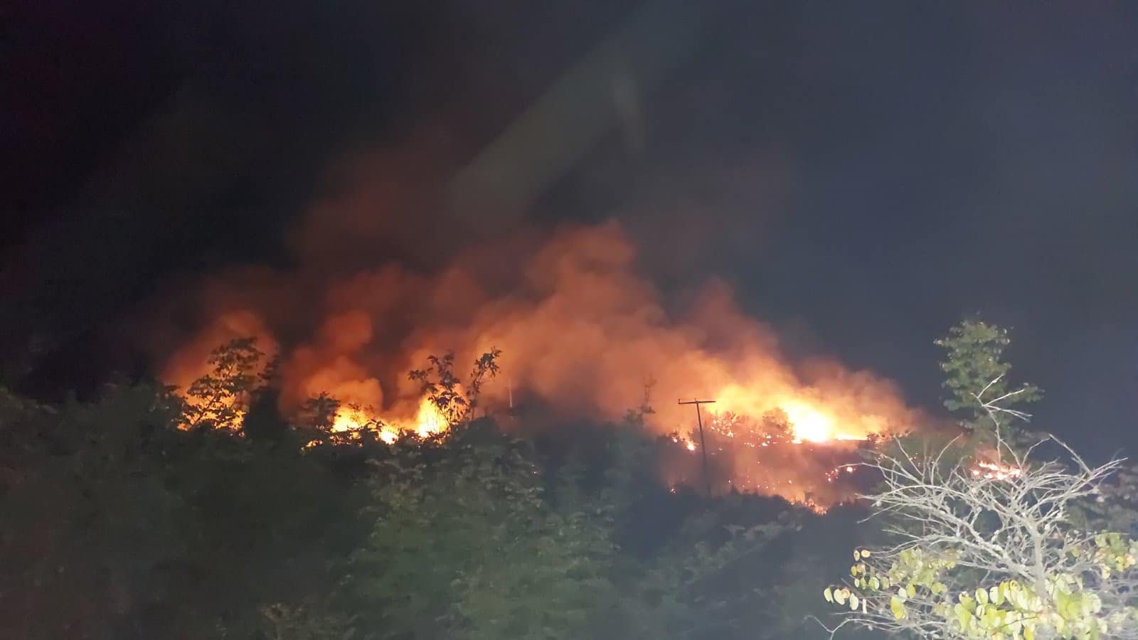 brushani-pozhar-170