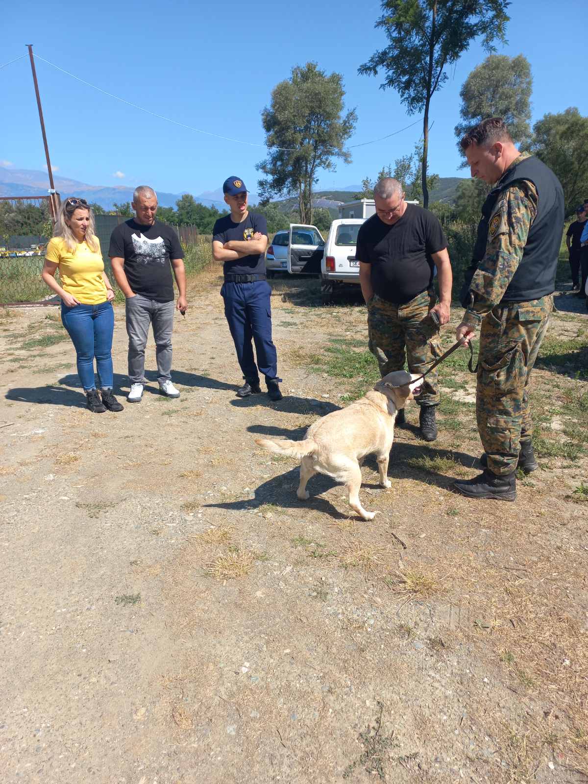 potraga-tenovo-1-019