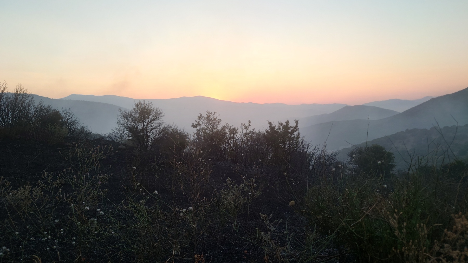 pozhar-kaj-veterniczite-992