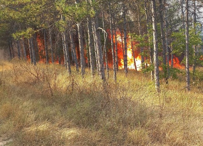 pozhar-negotino-33-eb9