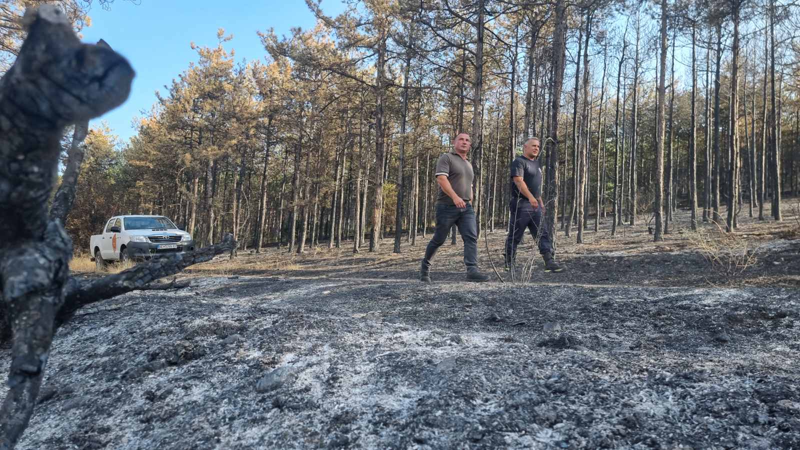 pozhar-negotino-333-e7b