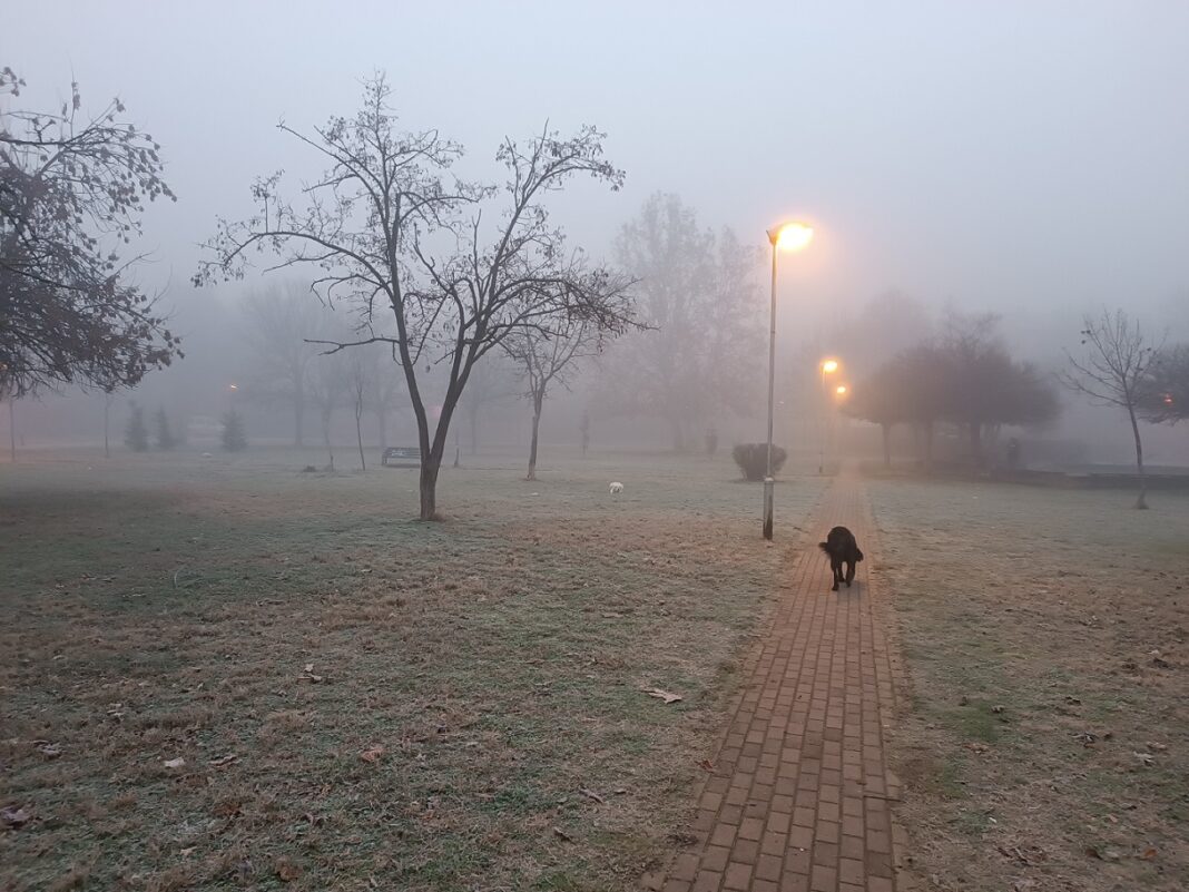 магливо загадено П.Џ. НЛ