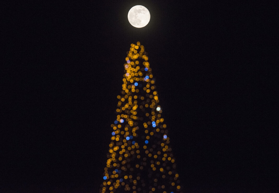 mesecina plostad nova godina (4)