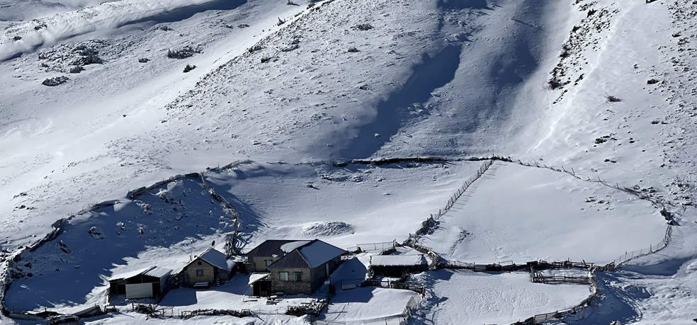 bacilo zima sneg bistra