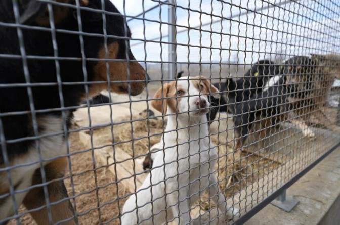 stacionar lana strumica