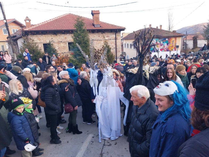 vevcanski karenval mia 1