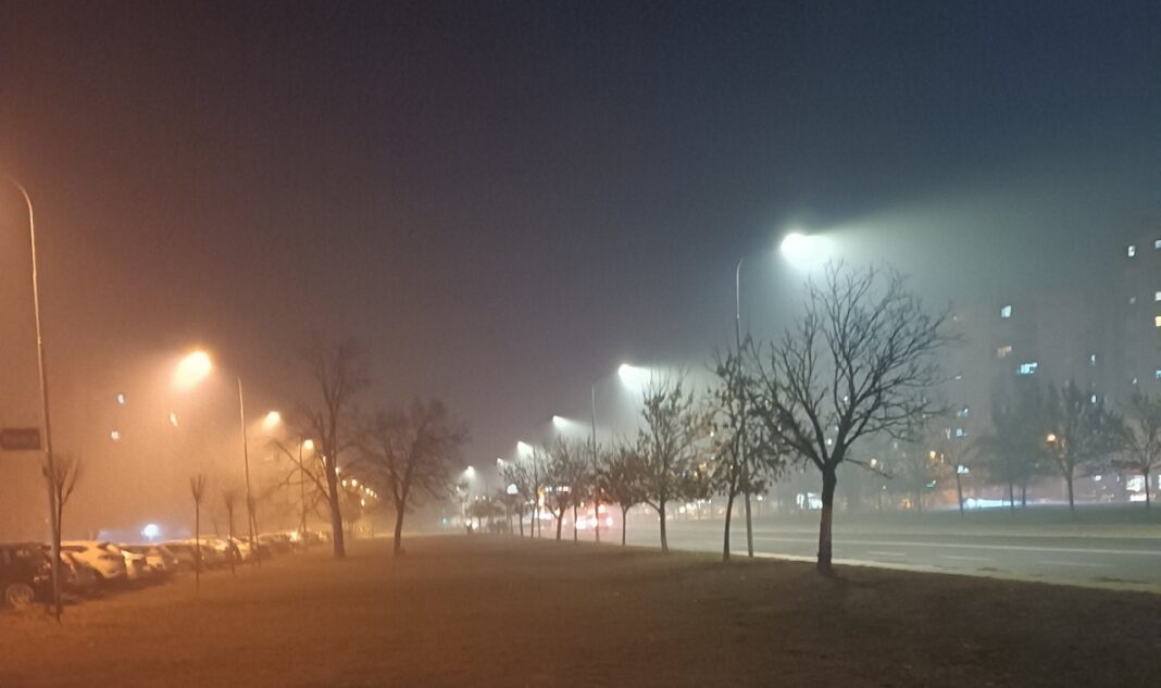 maglivo bulevar P.Dz