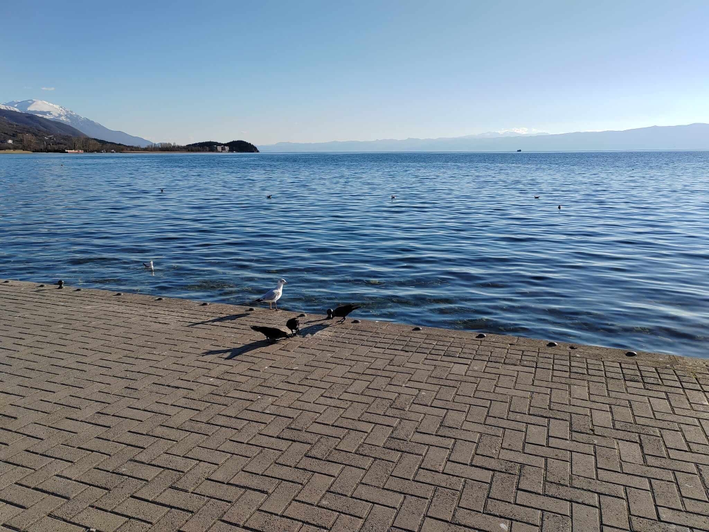 ohrid sonce