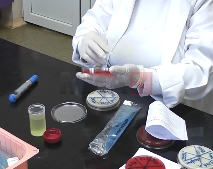 test salmonela gradinka berovo