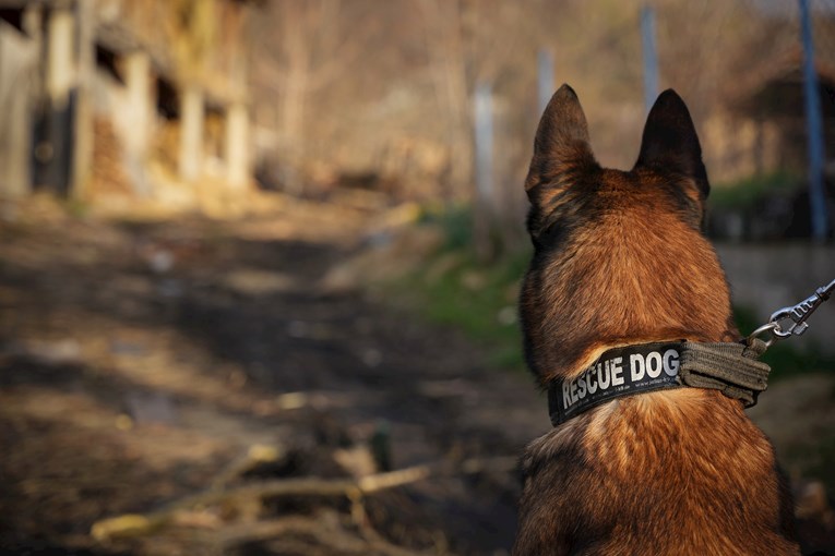 030a8543-44b5-46d4-aa99-1d0ced31aa4d