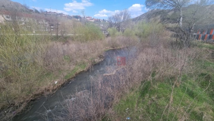 брегалница миа