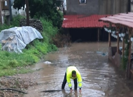poplaveno ilustracija