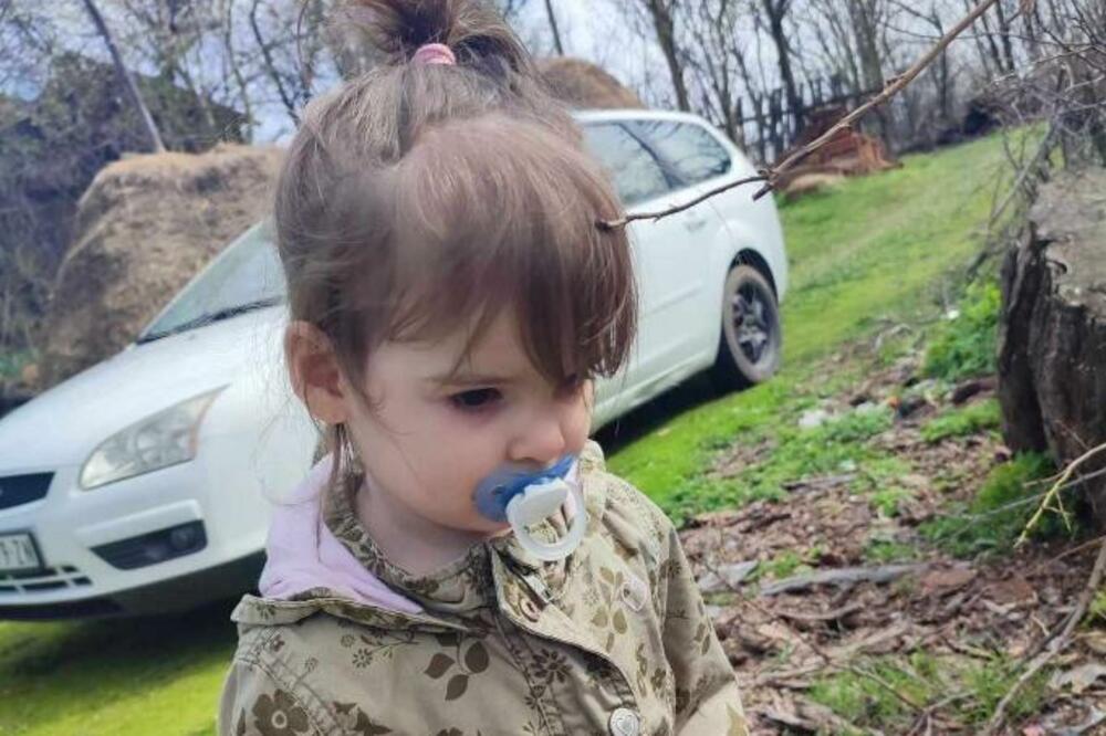 5557835_danka-ilic_ls