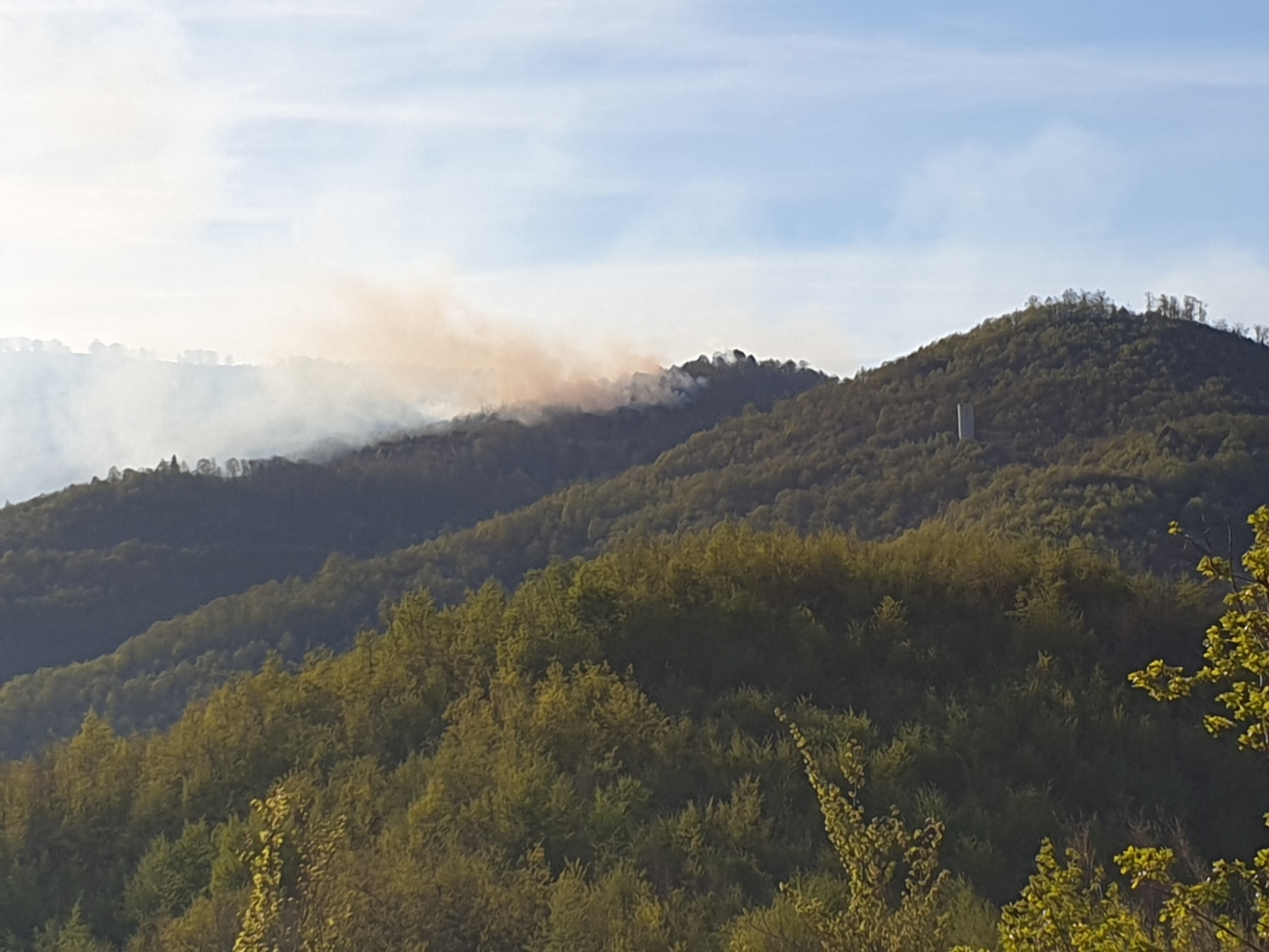Од 1 јули целосна забрана за движење во шумите