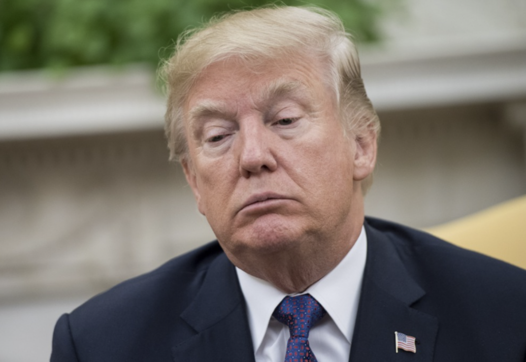 Трамп 2023-08-18 102050