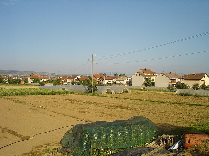 Stajkovci Vikipedija