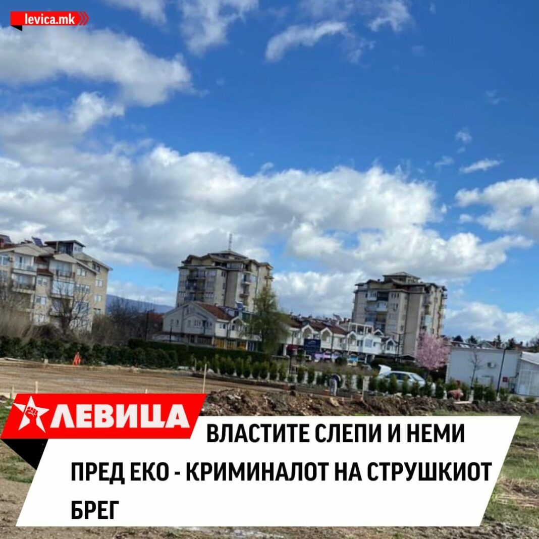 levica kriminal struga