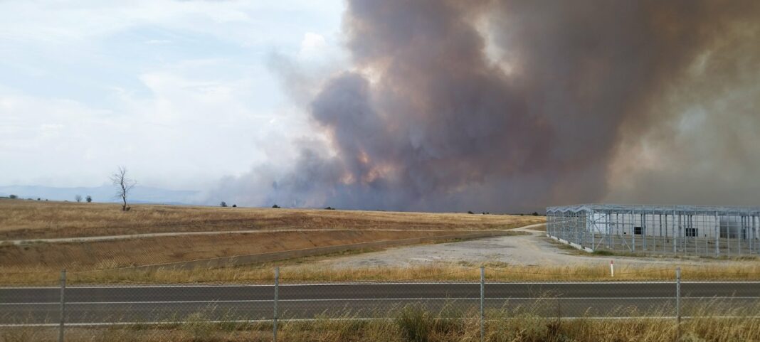 nov pozar kaj negotino