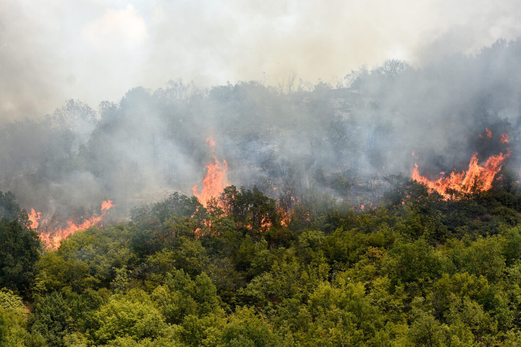 NMACEDONIA - WILDFIRE - NATURE - CLIMATE - HEAT