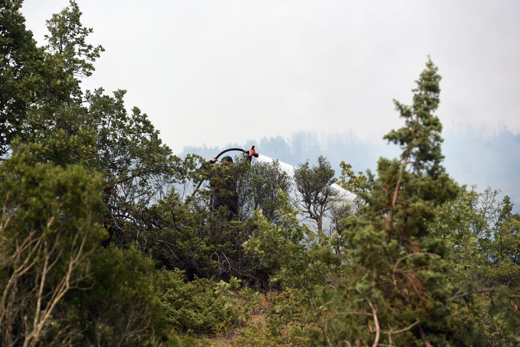Pozar negotinsko ROKO 14