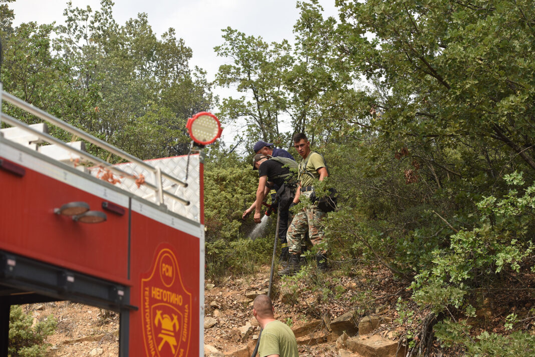 Pozar negotinsko ROKO 17