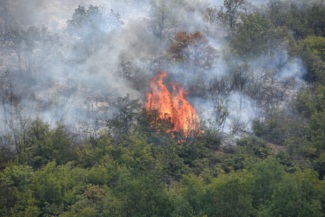 NMACEDONIA - WILDFIRE - NATURE - CLIMATE - HEAT