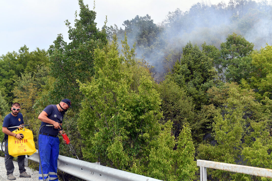 Pozar negotinsko ROKO 2