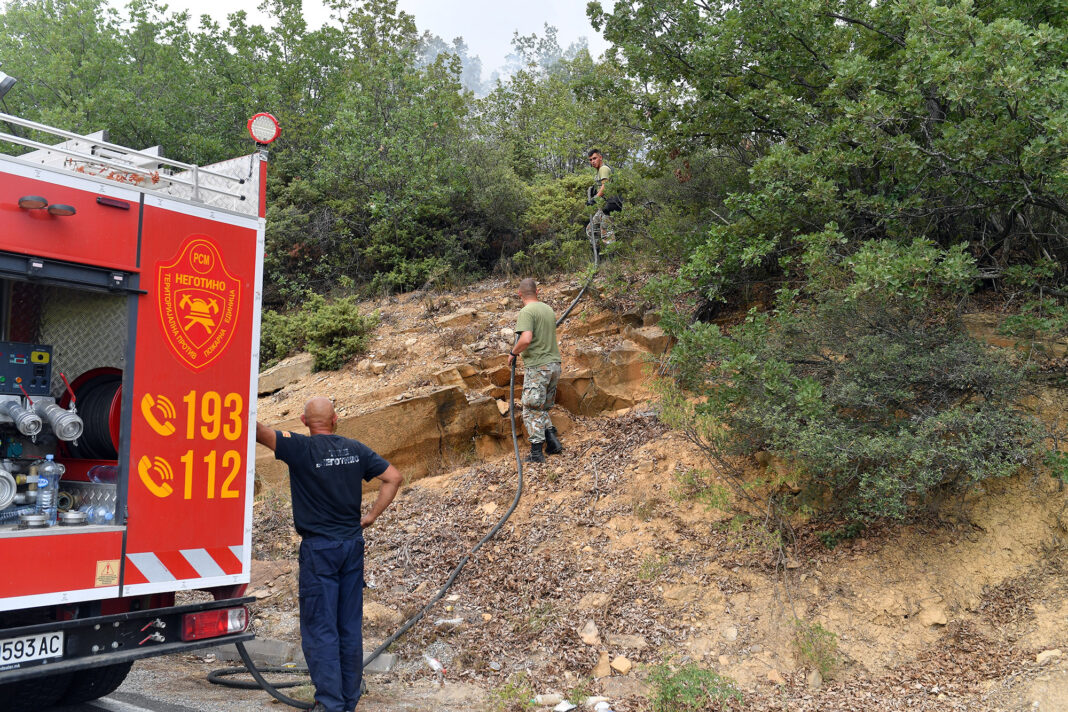 Pozar negotinsko ROKO 3