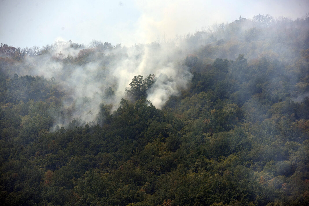 Pozar negotinsko ROKO 5