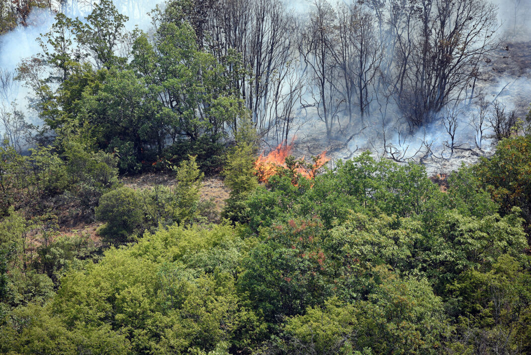 NMACEDONIA - WILDFIRE - NATURE - CLIMATE - HEAT