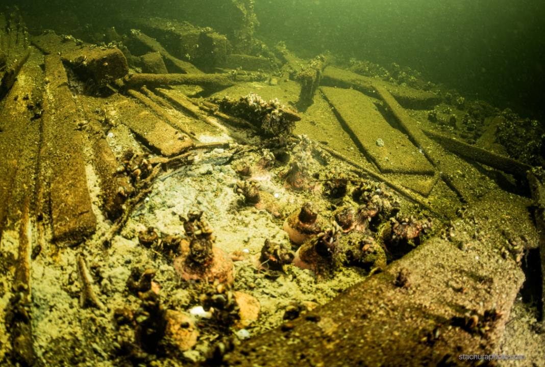 Tomasz Stachura 2024-07-26 093351