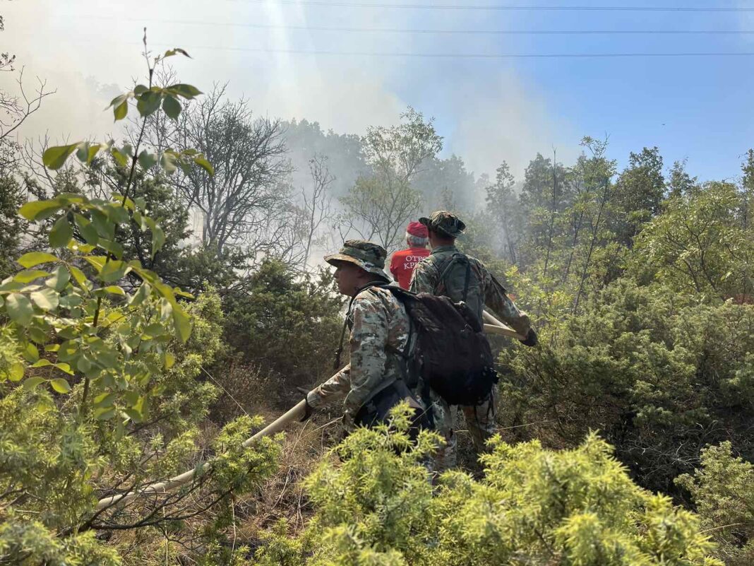 vojnici gasnat pozar Serta3