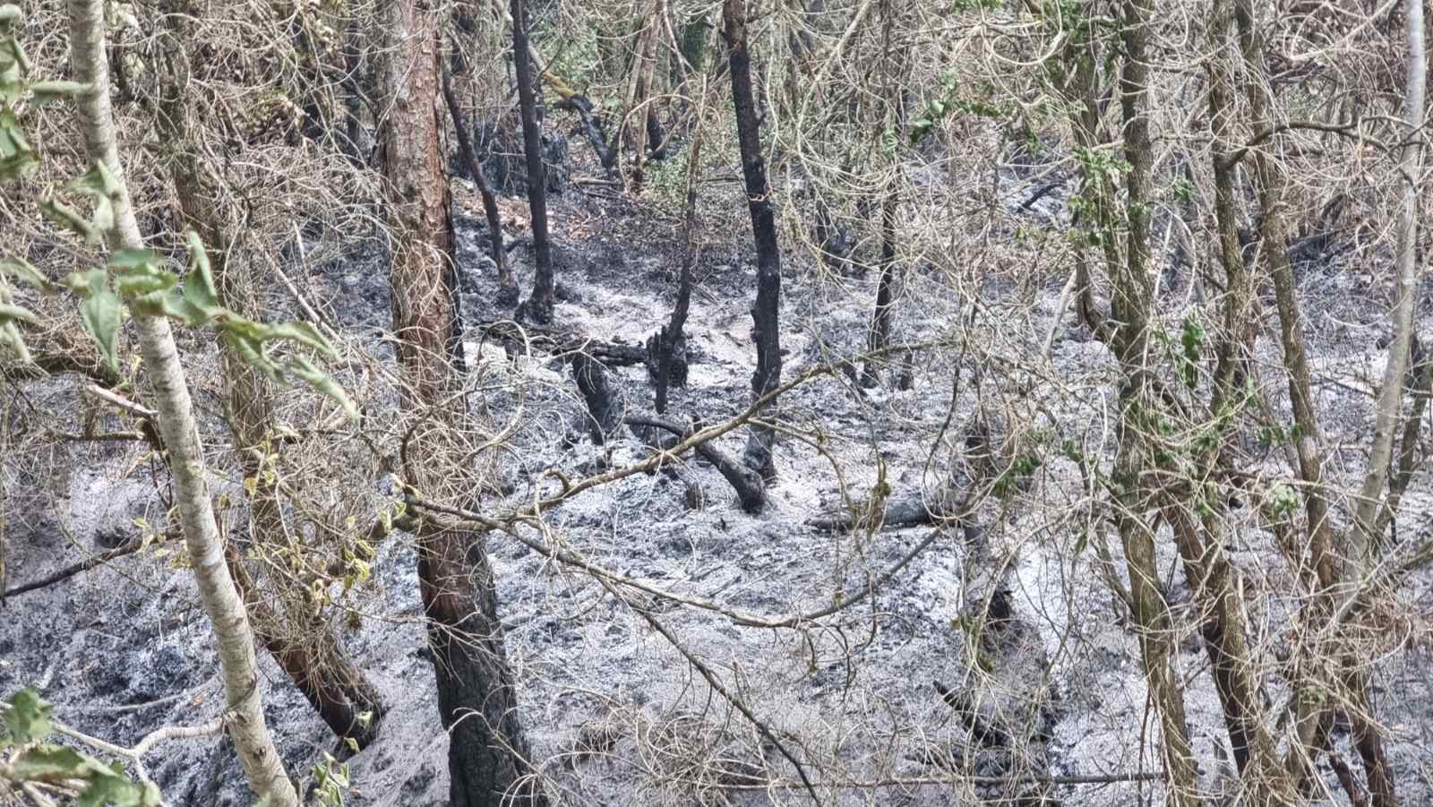 ЦУК: За едно деноноќие 16 изгаснати пожари, еден е под контрола