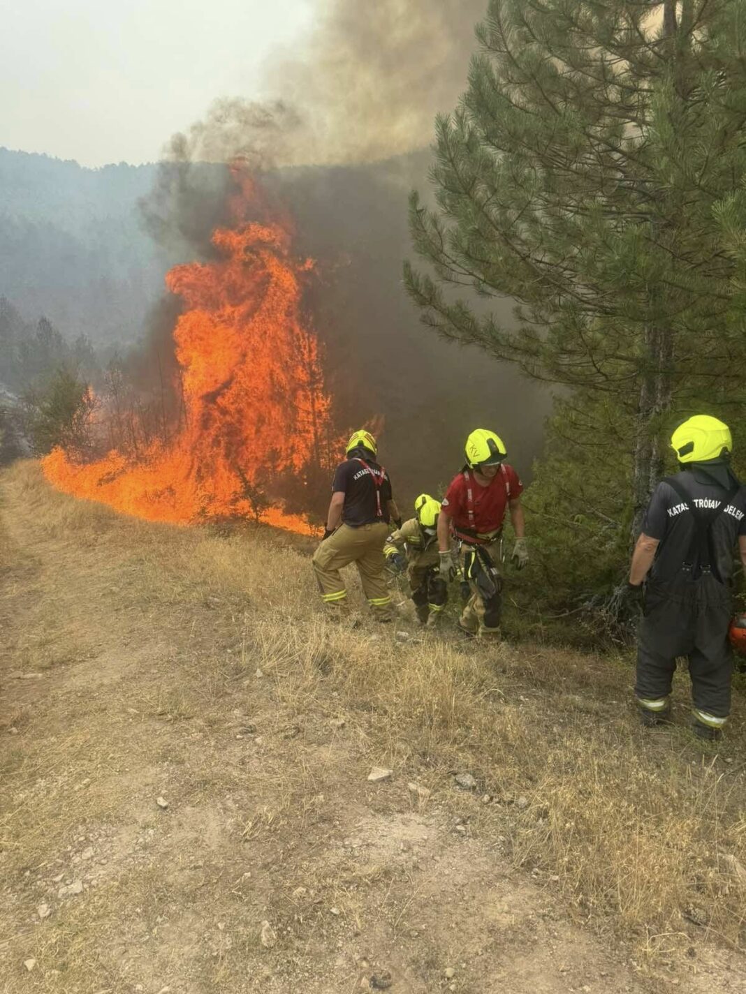 jasen ungarci akcija 1