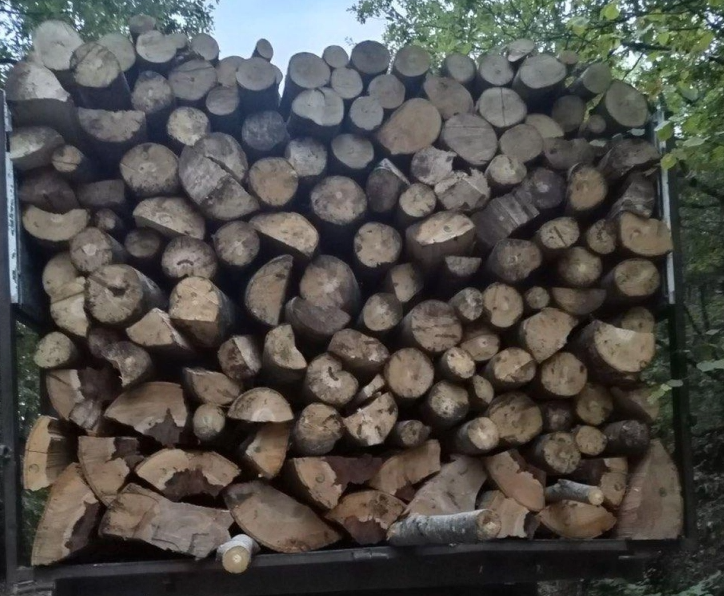 mafija drva struga