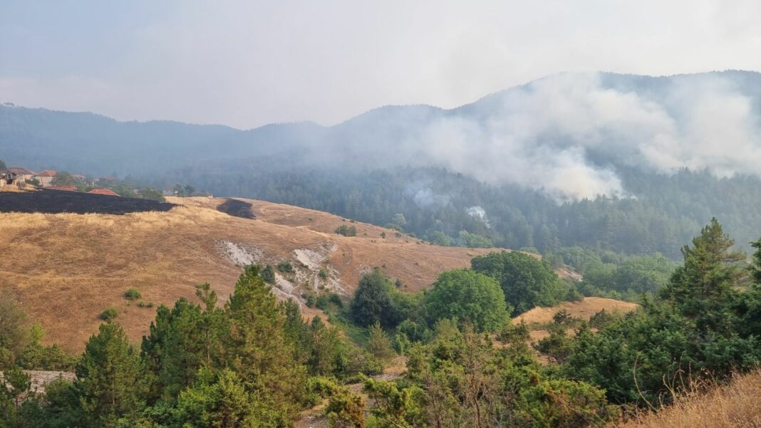 planina pozar