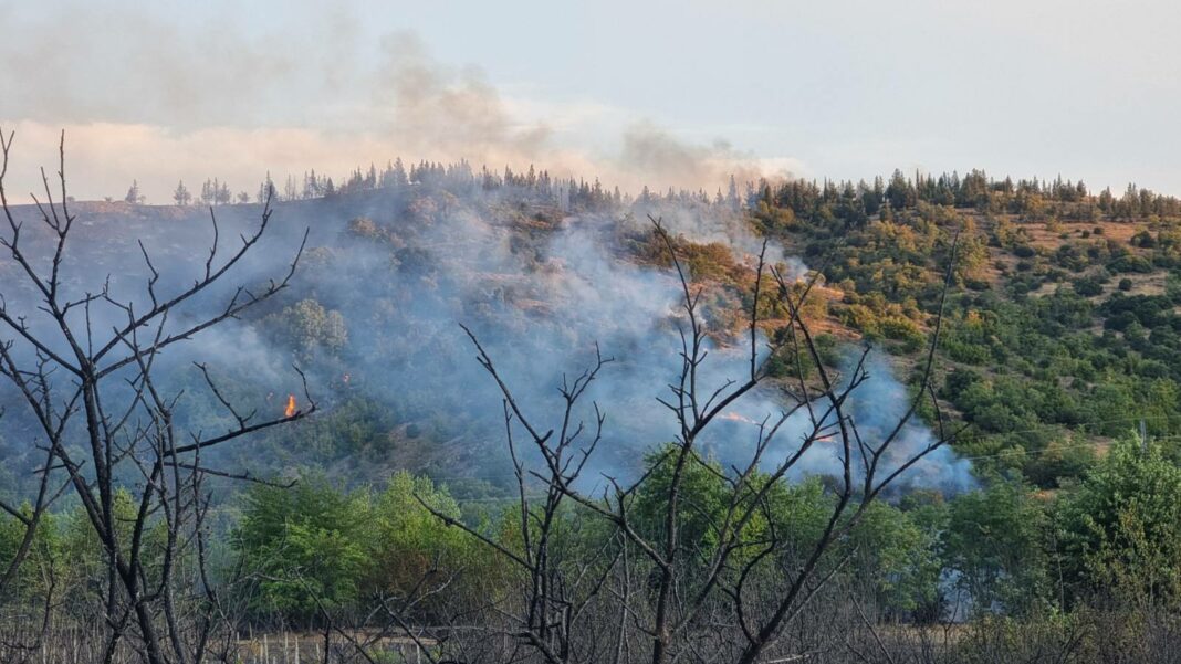 pozar bogdanci valandovo