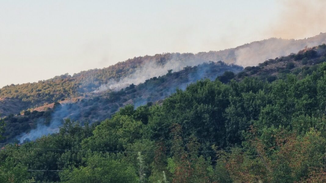 pozar bogdanci valandovo 3