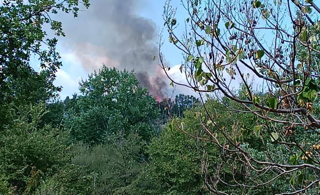 pozar markova susica panta 4