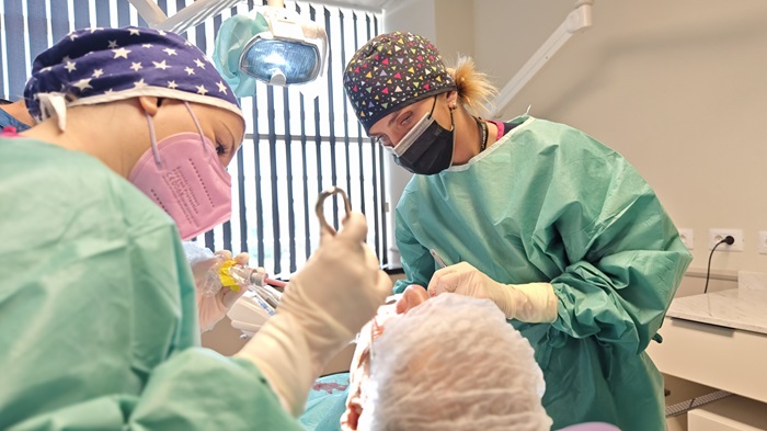 stomatoloz zan mitrev