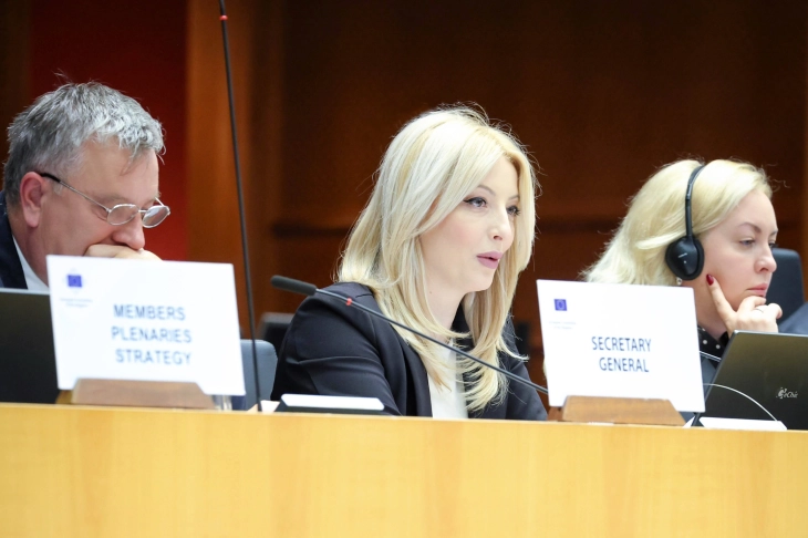 danela arsovska vo brisel