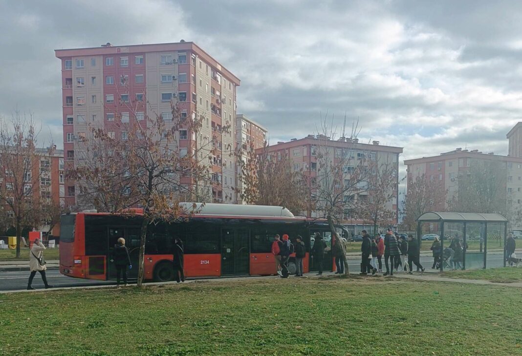 avtobus lisice panta