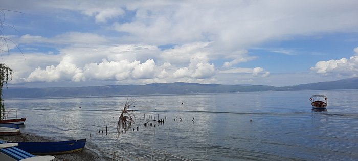 pestani