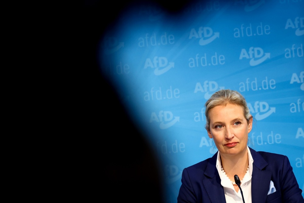 Reactions of AfD right-wing political party to results of the state elections in Brandenburg