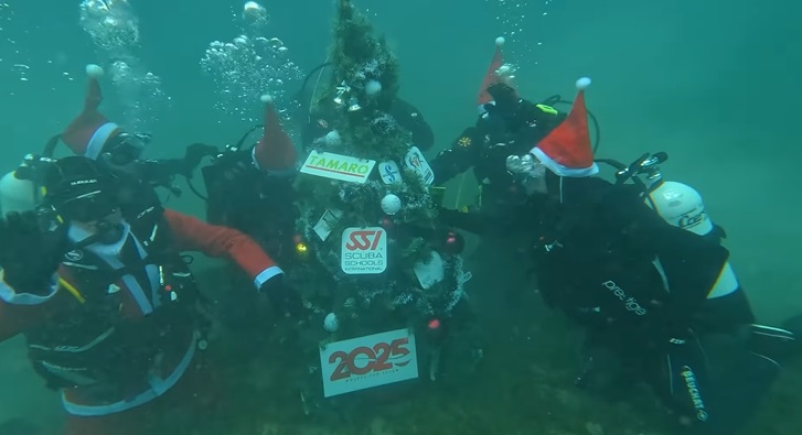 novogodisna elka ohrid