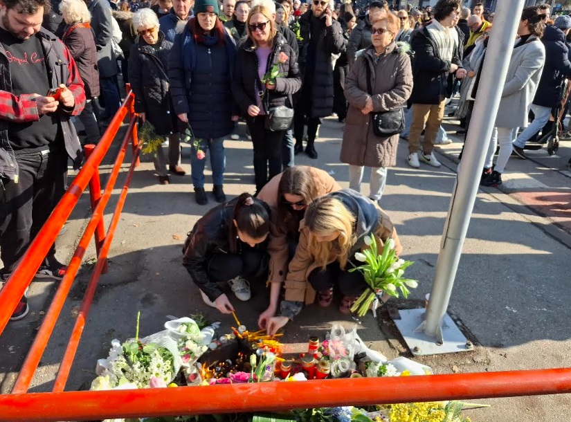 partizanska friosina