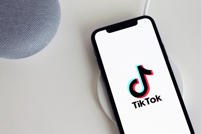 tiktok-gfcbb60205_640