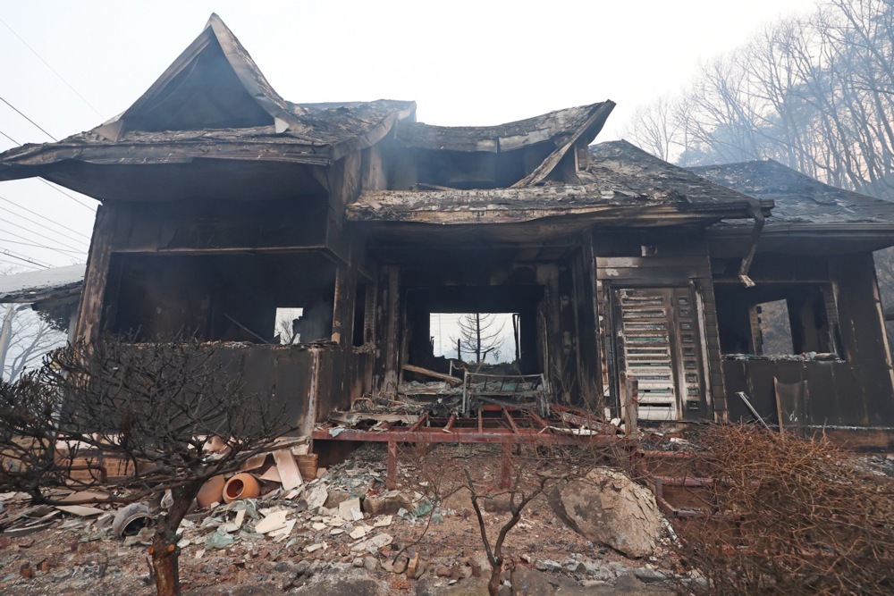 Wildfire in southeastern region