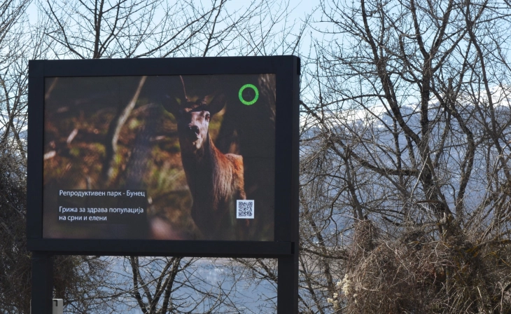 nacionalen park Mavrovo