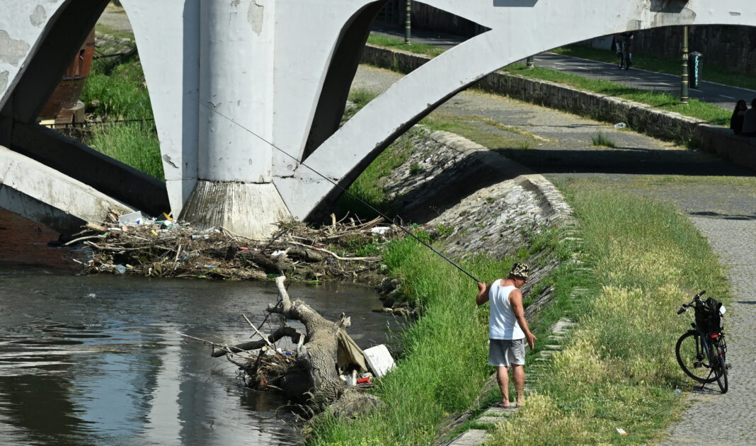 toplo gorestina (17)